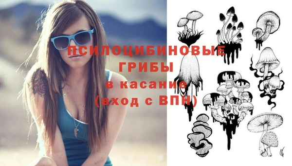 кокаин премиум Заводоуковск