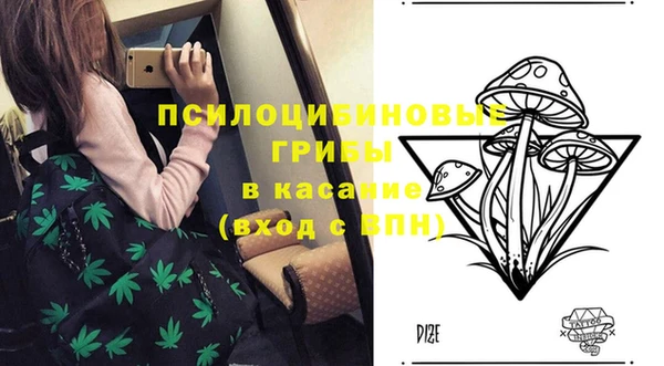 не бодяженный Приозерск