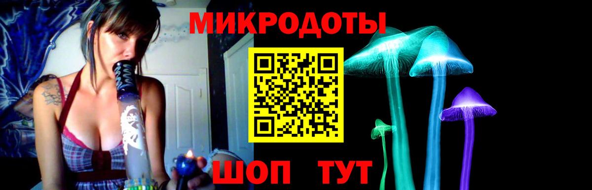 Псилоцибиновые грибы Psilocybe Красный Сулин