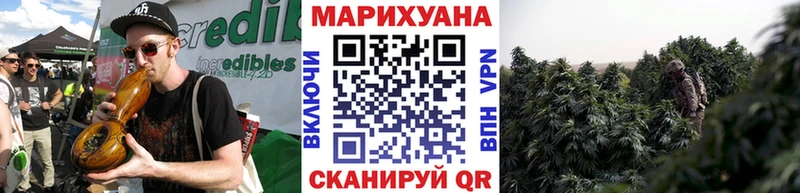 Бошки марихуана сатива  Красный Сулин 